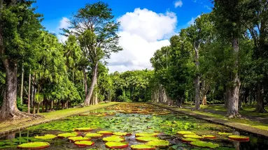 Mauritius: Siedem Kolorów Raju
