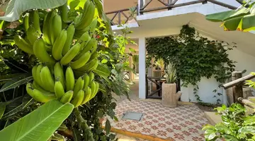 Max Hotel Nungwi
