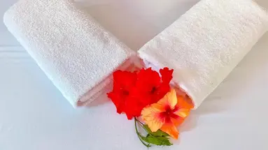 MAX HOTEL NUNGWI