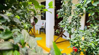MAX HOTEL NUNGWI