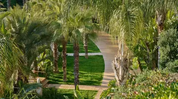 MAXX ROYAL BELEK