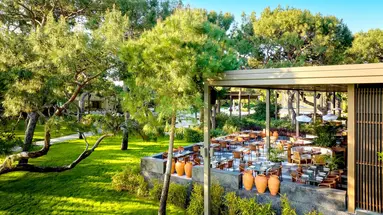 Maxx Royal Kemer