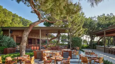 Maxx Royal Kemer