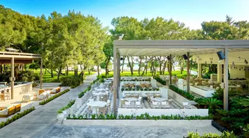 Maxx Royal Kemer