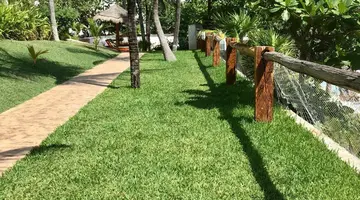 Maya Caribe Faranda