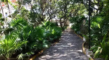 Maya Caribe Faranda
