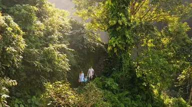 Maya Ubud Resort & Spa