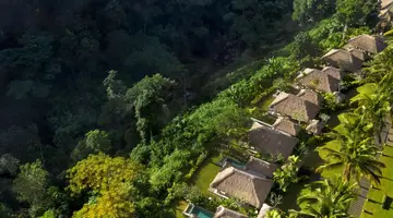 Maya Ubud Resort & Spa