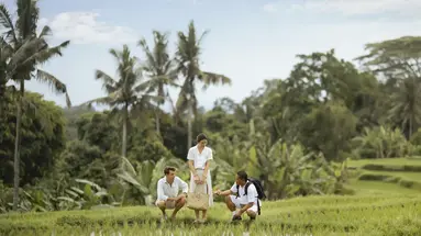 Maya Ubud Resort & Spa