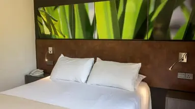Mayfair Gardens