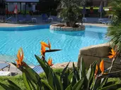 Mayfair Gardens