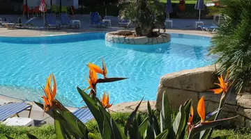 Mayfair Gardens