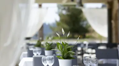 MAYOR MON REPOS PALACE (Adults Only)