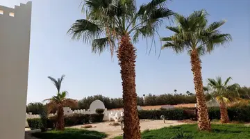 Mazar Resort & Spa