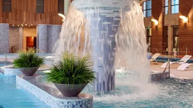 Medical SPA Egles Sanatorija Birsztany