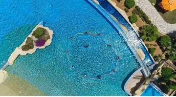 MEDINA BELISAIRE & THALASSO