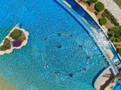Medina Belisaire & Thalasso