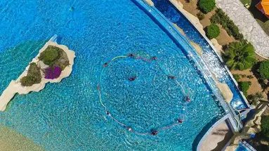 Medina Belisaire & Thalasso