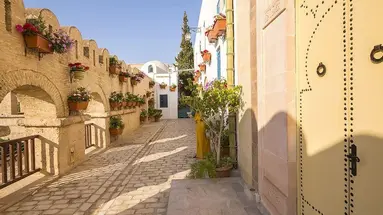 Medina Diar Lemdina