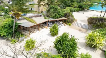 Medina Palms