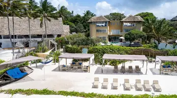 Medina Palms