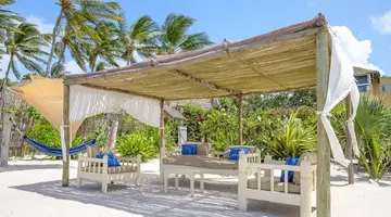 Medina Palms