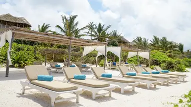 Medina Palms