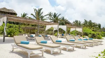 Medina Palms