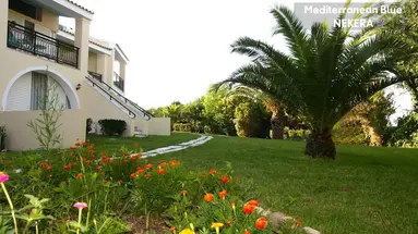Mediterranean Blue