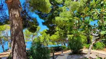 MEDORA AURI FAMILY BEACH RESORT (ex. MEDORA AURI)