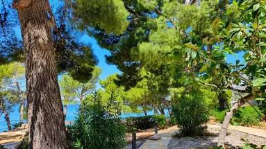 MEDORA AURI FAMILY BEACH RESORT (ex. MEDORA AURI)