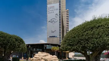 Medplaya Hotel Flamingo Oasis
