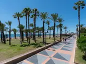 Medplaya Hotel Pez Espada