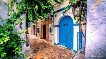 Medyny, Mozaiki I Meczety