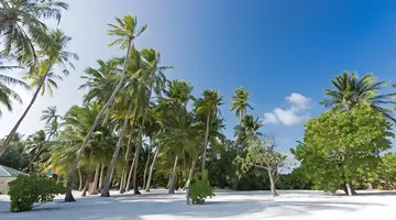 Meeru Island Resort & Spa