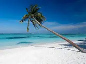 Meeru Island Resort & Spa