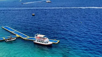 Megan Halomy Hotel
