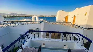Megan Halomy Hotel