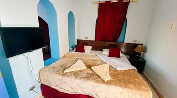 Megan Halomy Hotel