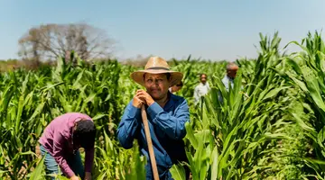 Meksyk w złotej odsłonie - Tequila, Srebro i Piramidy Bogów