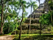 Meksyk - zaginione miasta Majów (Meksyk, Gwatemala i Belize)