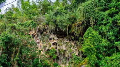 Meksyk - zaginione miasta Majów (Meksyk, Gwatemala i Belize)
