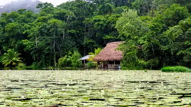 Meksyk - zaginione miasta Majów (Meksyk, Gwatemala i Belize)