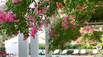 Melia Cala dOr Boutique Hotel