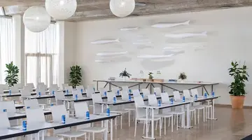 Melia Calvia Beach