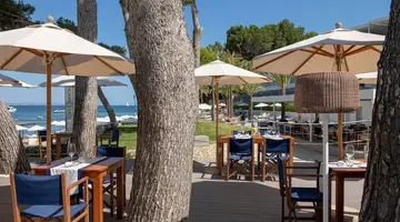 Melia Calvia Beach