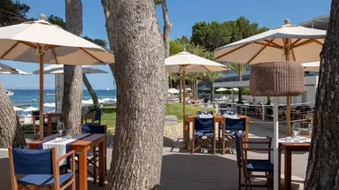 Melia Calvia Beach