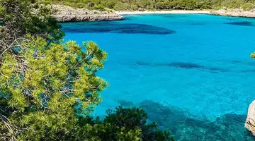 Melia Calvia Beach