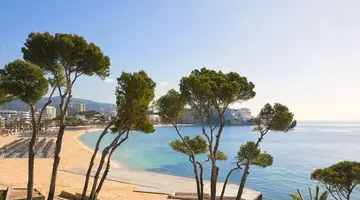 Melia Calvia Beach