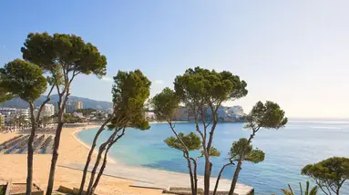 Melia Calvia Beach